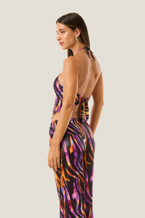 Top hypnotic zebra