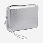 Beach necessaire metallic