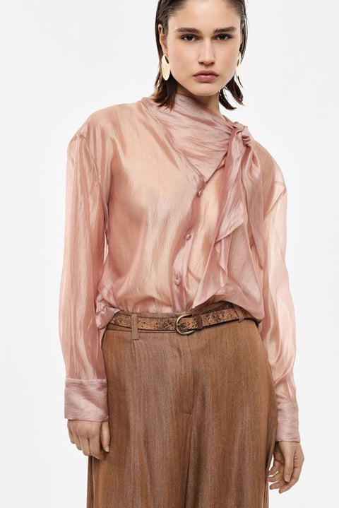 Camicia trasparente con maniche lunghe e fiocco