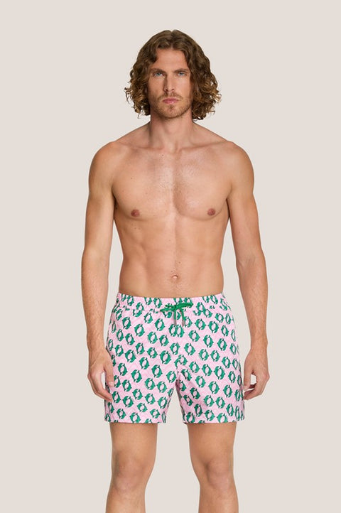 Short corto mare delfini