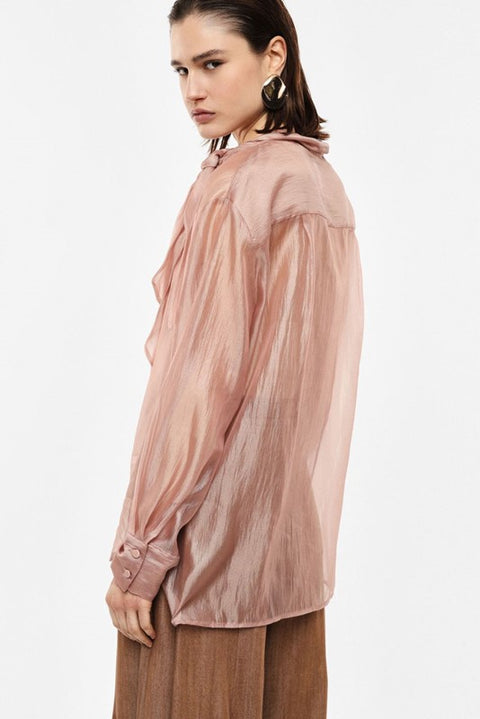 Camicia trasparente con maniche lunghe e fiocco