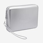 Beach necessaire metallic