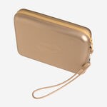 Beach necessaire metallic
